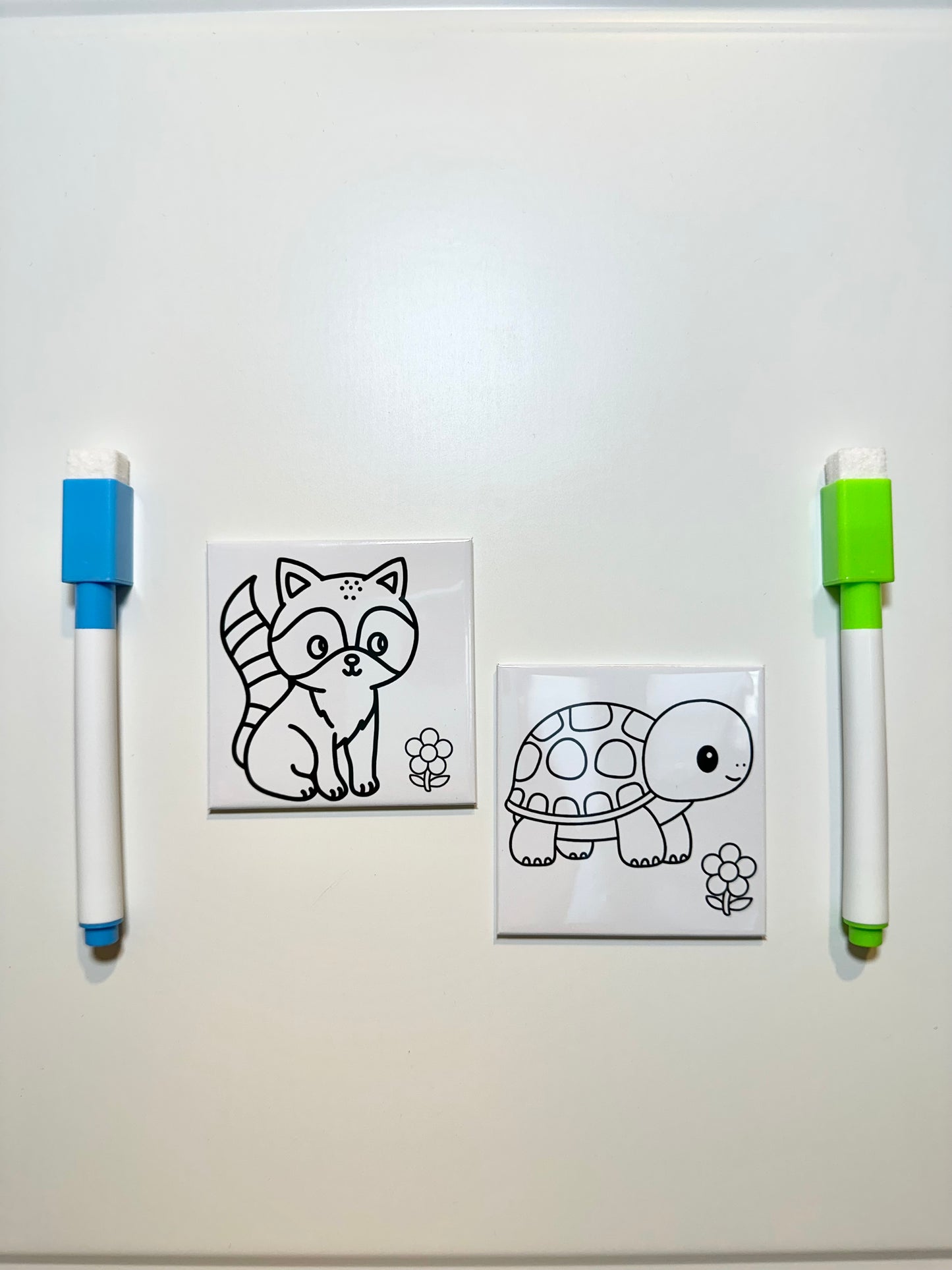 Dry erase coloring magnets